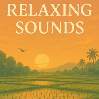 Relaxing Sounds – Peaceful Rice Fields with Frogs | Sleep, Study, Focus | (8 Hours)