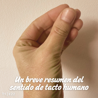 T1 E22 Un breve resumen del sentido de tacto humano