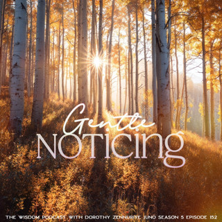 'Gentle Noticing' ~ A Mindfulness Practice  VIDEO EPISODE  |  The WISDOM podcast  |  S5 E152