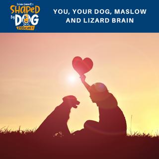 You, Your Dog, Maslow and Lizard Brain #7