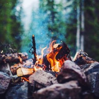 Forest Campfire and Birds - 10 Hours Sleep Sound