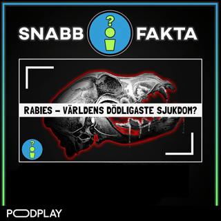 Rabies - Världens dödligaste sjukdom?