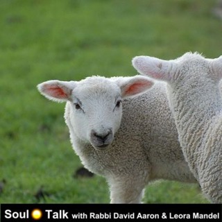 How Passover Sets Us Free - Soul Talk