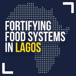 Fortifying food systems in Lagos