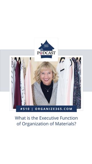 510 - What is the Executive Function of Organization of Materials