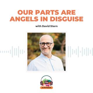 Our Parts Are Angels In Disguise with David Stern