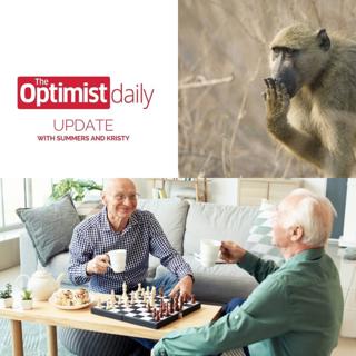 Choking Under Pressure & Social Connections Reduce Risk of Alzheimer's