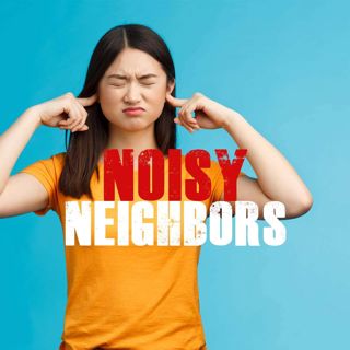 Noisy Neighbors