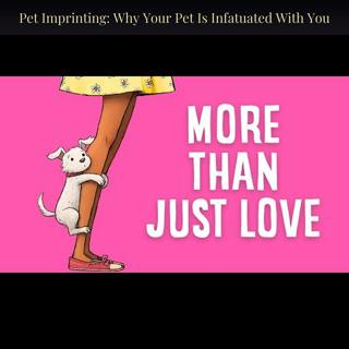 Pet Imprinting: Why Your Pet Is Infatuated With You