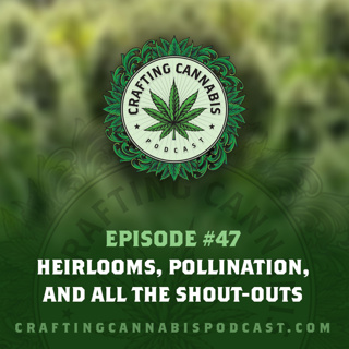#47 - Heirlooms, Pollination, and all the Shout-outs