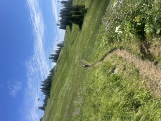 Trail Tips: It almost always never gets worse, sometimes