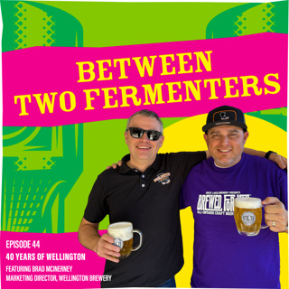 Brad McInerney - 40 Years of Wellington
