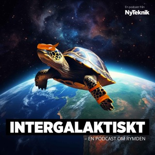 Kan du ens något om djur i rymden?