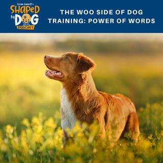 The Woo Side Of Dog Training: Power of Words #124