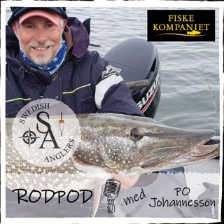 Avsnitt 23 - PO Johannesson
