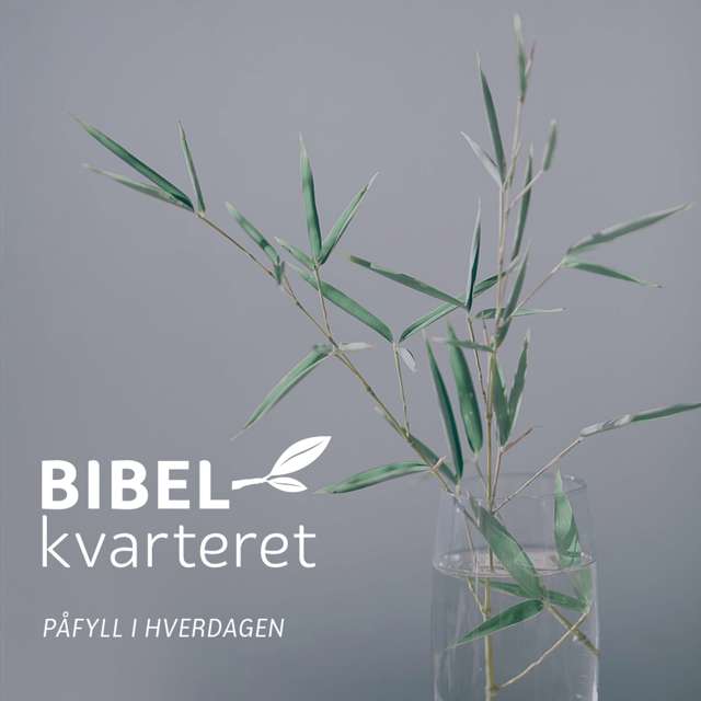 Bibelkvarteret