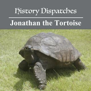 Jonathan the Tortoise: The world's oldest living land animal