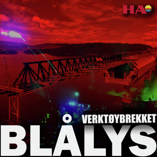 Verktøytyvene kom i båt på Mjøsa