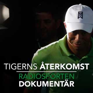 Tigerns återkomst - efter otrohet och skador
