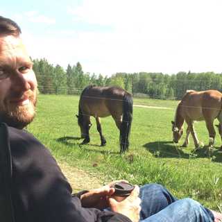 Släpp hästarna fria! – så kan fler vilda djur hålla landskapen öppna