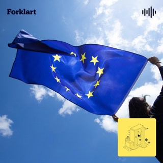 EØS fyller 30 år! Hurra?