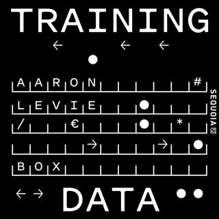 Box's Aaron Levie: On Reinventing Yourself in the AI Age and Enterprise Diffusion