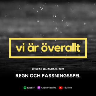 Regn och tvåmål