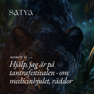 Hjälp, jag är på tantrafestivalen - om medicinhjulet, rädsla & jaguarens väg