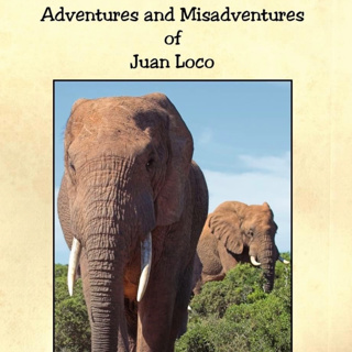 The Adventures and Misadventures of Juan Loco- Pop, Uncle Bill, & the Dogs