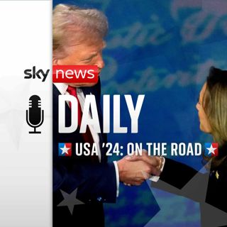 "They're eating the dogs! They're eating the cats! " It's the 2024 US Election campaign