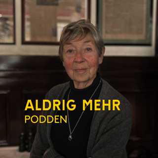 Avsnitt 34 - Stadsmannen Hjalmar Mehr – Lena Norberg