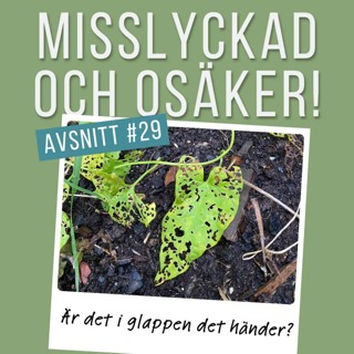 #29: Är det i glappen det händer?