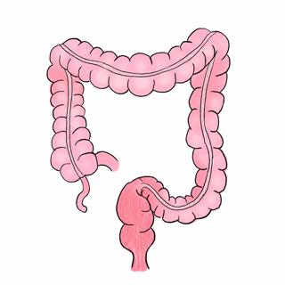 446. Surgical Management of Colorectal Cancer – Part 1