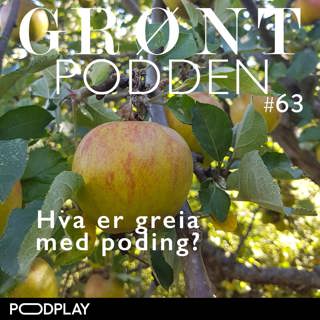 #63 Hva er greia med poding?