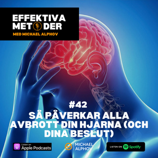 #42 Så påverkar alla avbrott din hjärna (och dina beslut)