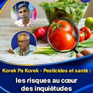 Korek Pa Korek - Pesticides et santé : les risques au cœur des inquiétudes