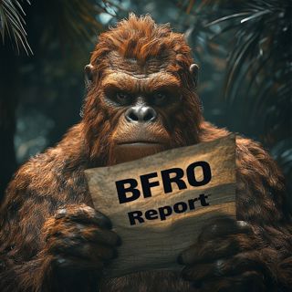 SO EP:558 Best Time To See A Bigfoot?