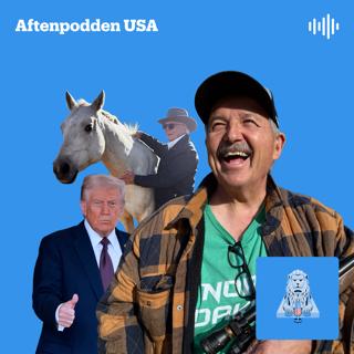 De som fortsatt elsker Trump