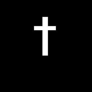 C&SI - Introducing the Religious Sisters of Mercy, Alma, Michigan - 20 Oct 2024 (S04 E47b) (podcast excerpt)
