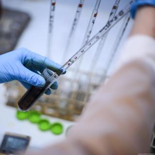 Das Freiwillige Wissenschaftliche Jahr