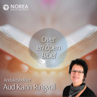 E2426 -5-Aud Karin Ringvoll - Spedalske med godt nytt (2. kong 7,1-9)