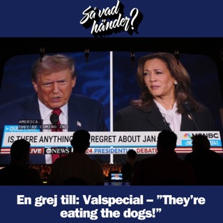 En grej till: Valspecial – ”They’re eating the dogs!”