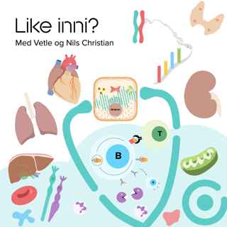 Like på innsiden?