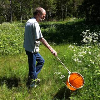 I Smålands östra del hittar
ovanliga insekter ett paradis