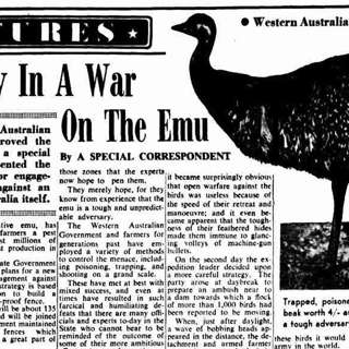 The Wild Cards Come From the Land Down Under