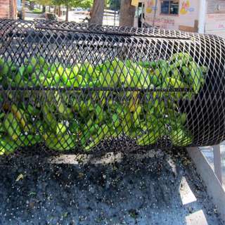 Why do Palisade peaches, Pueblo chiles matter so much to Colorado consumers? (ENCORE EPISODE)