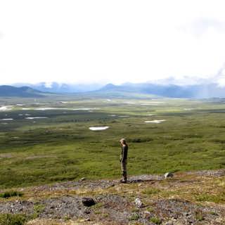 Från Alaska till Arbetsförmedlingen