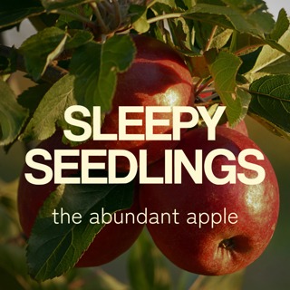 The Abundant Apple