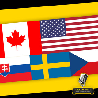 080 / Ulkomaalaisten väliarviointi