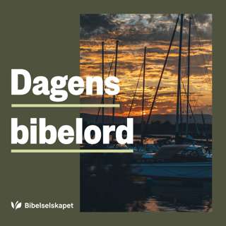 dagens-bibelord-fra-bibelno